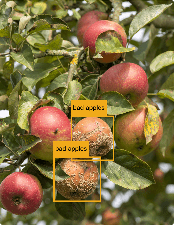 Agriculture and food industry