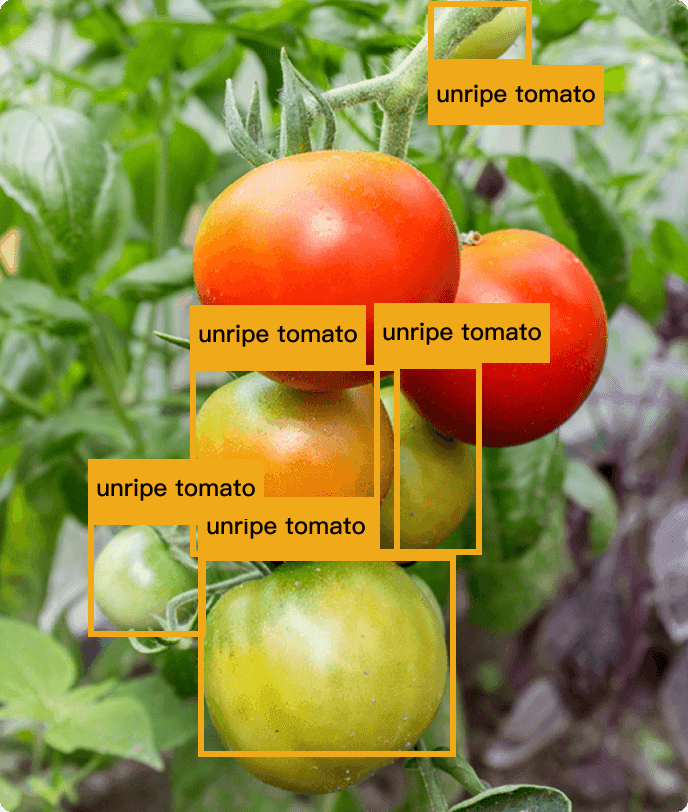 Agriculture and food industry