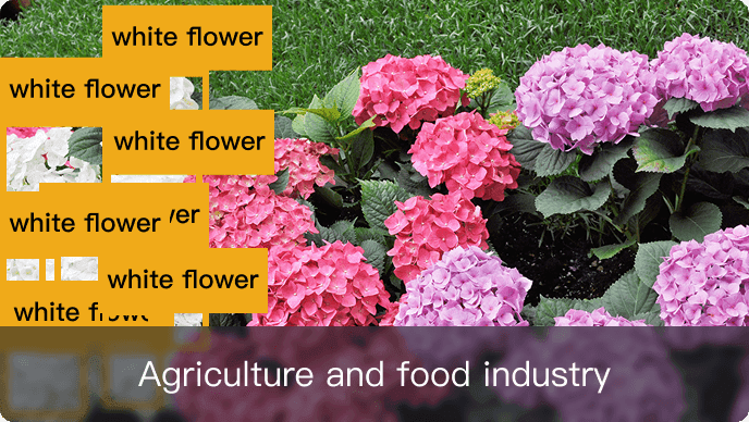 Agriculture and food industry