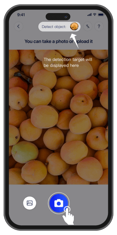 Image Count Off CountAnything - A Fast and Accurate AI Counting App